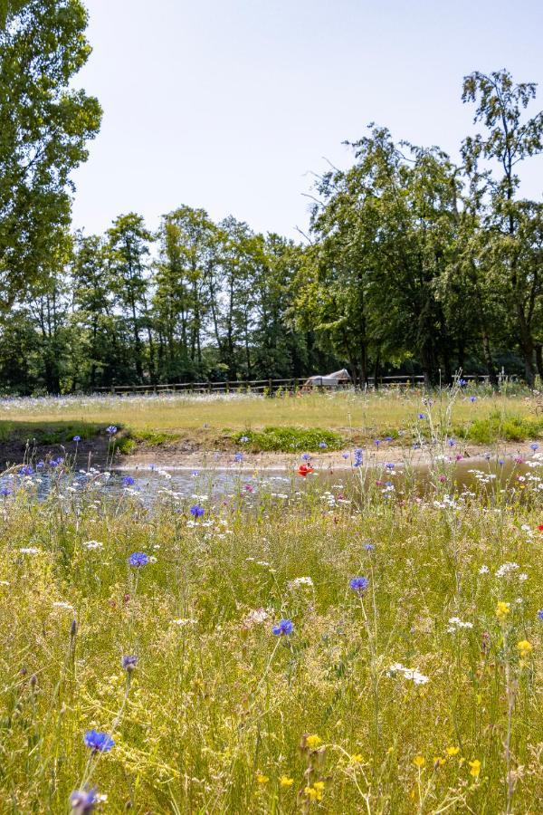 Equilodge 'T Blommeke - Reconnect With Nature Bruges Esterno foto