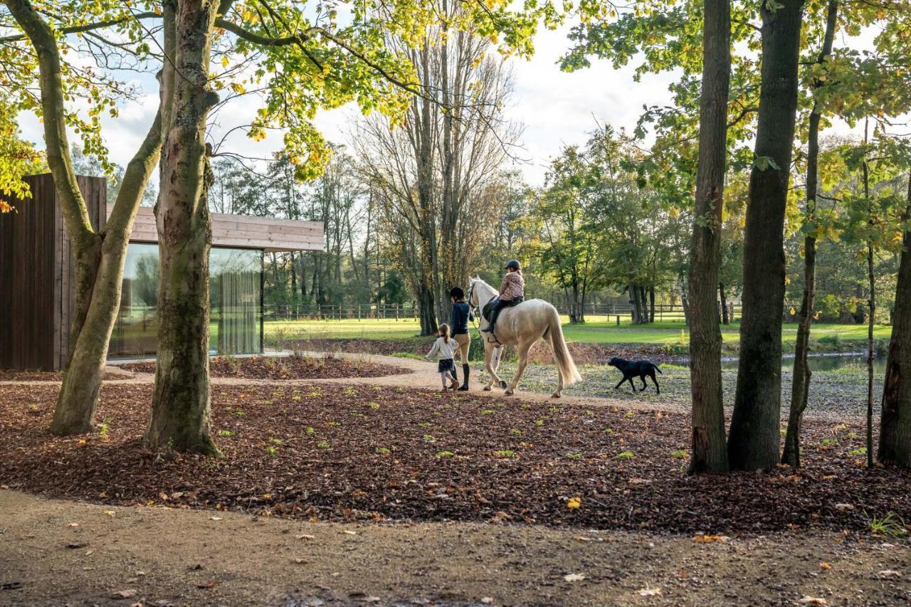 Equilodge 'T Blommeke - Reconnect With Nature Bruges Esterno foto